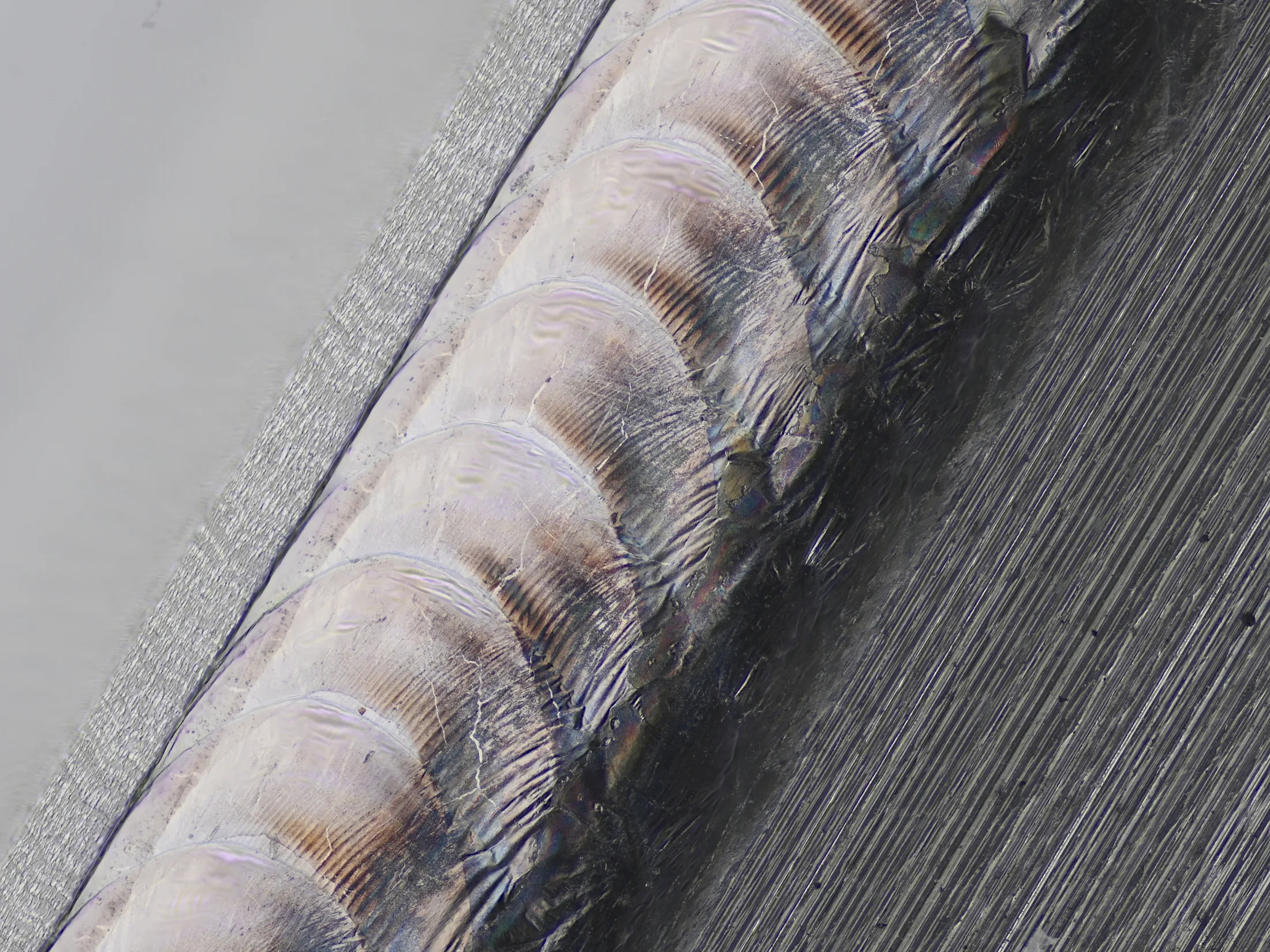 Macro photograph of an overlapping pulsed laser weld seam hermetically sealing a metal enclosure